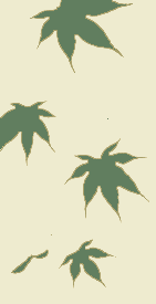 Maple Leaves